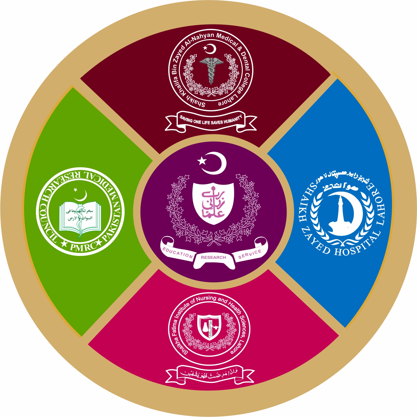 Sheikh Zayed Post Graduate Medical Institute Lahore