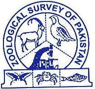 Zoological Survey of Pakistan